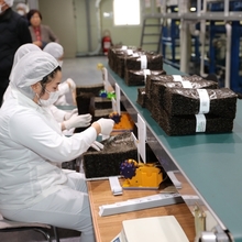 전남도, 김 등 해조류 안전성 강화로 세계시장 공략