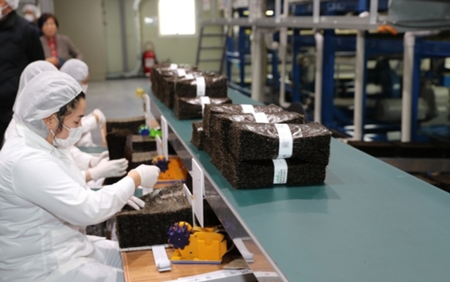 전남도, 김 등 해조류 안전성 강화로 세계시장 공략