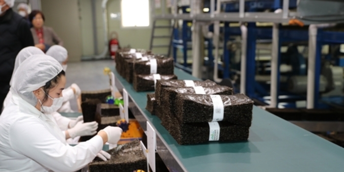 전남도, 김 등 해조류 안전성 강화로 세계시장 공략